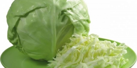 Kako posaditi rasad kupusa kod kuće